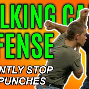 Haymaker Block with a Walking Cane | Self Defense Technique | FightFast