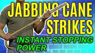Walking Cane Strikes to Stop Attacker | Self Defense Moves | FightFast